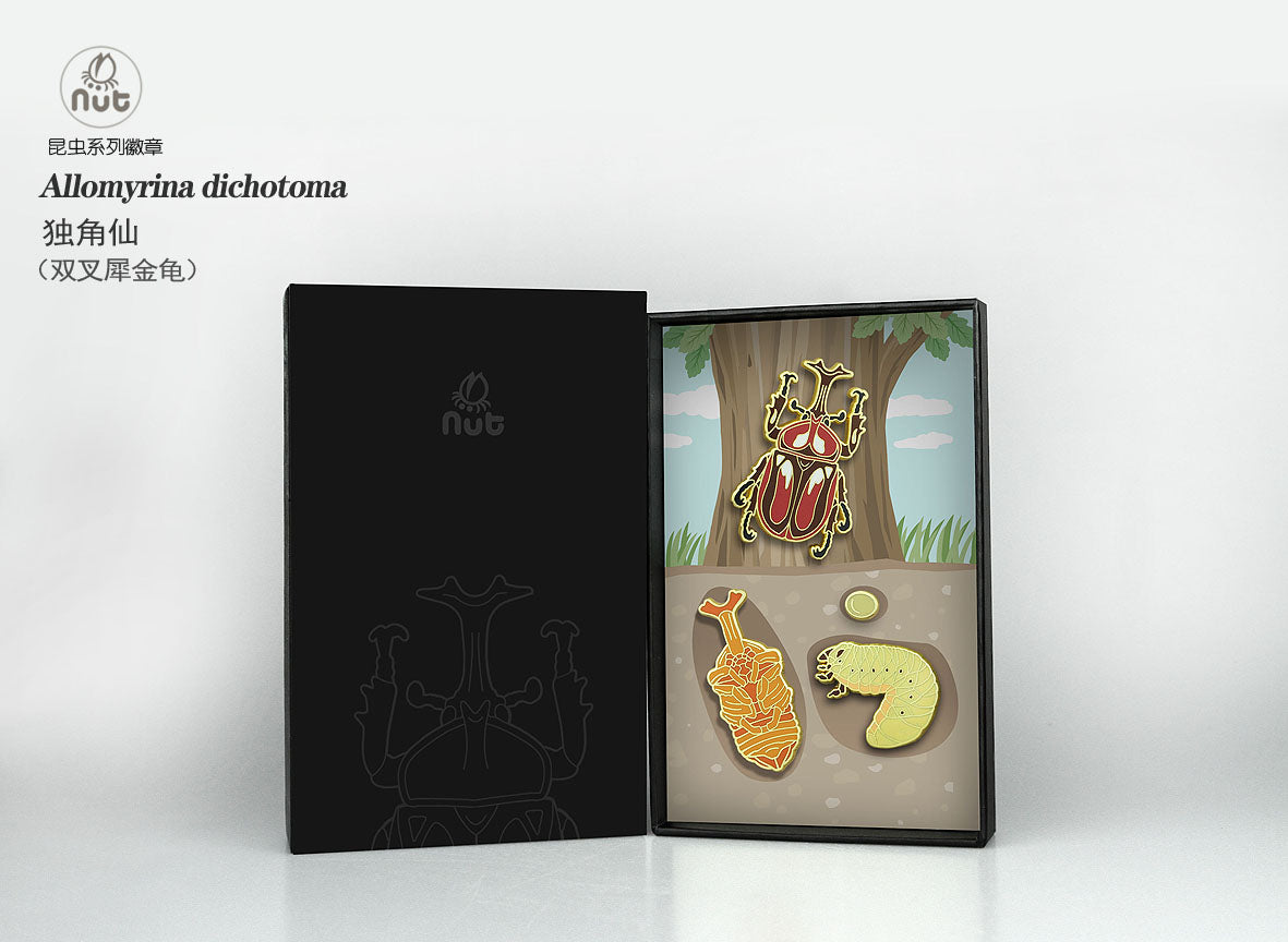 Insect Badge Allomyrina dichotoma “rhinoceros beetles”