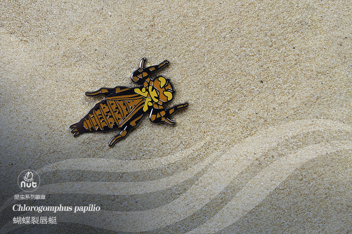 Insect Badge Chlorogomphus papilio