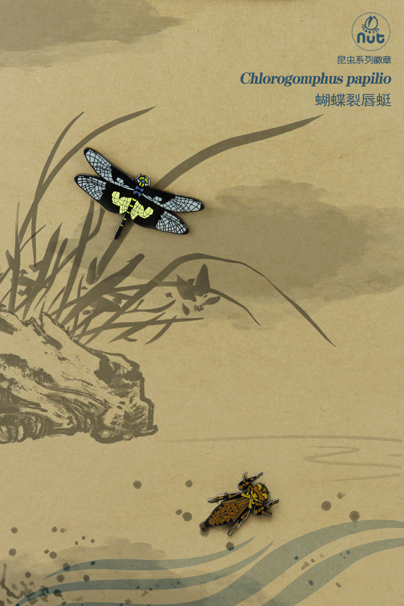Insect Badge Chlorogomphus papilio