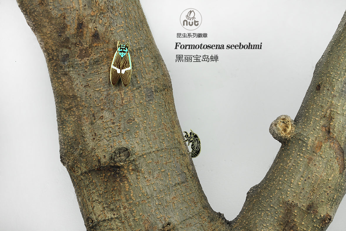 Insect Badge Formotosena seebohmi