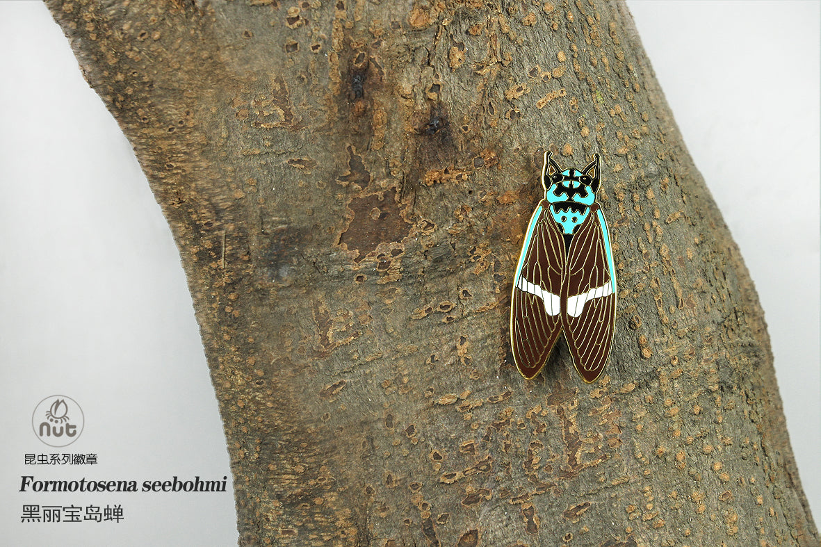 Insect Badge Formotosena seebohmi