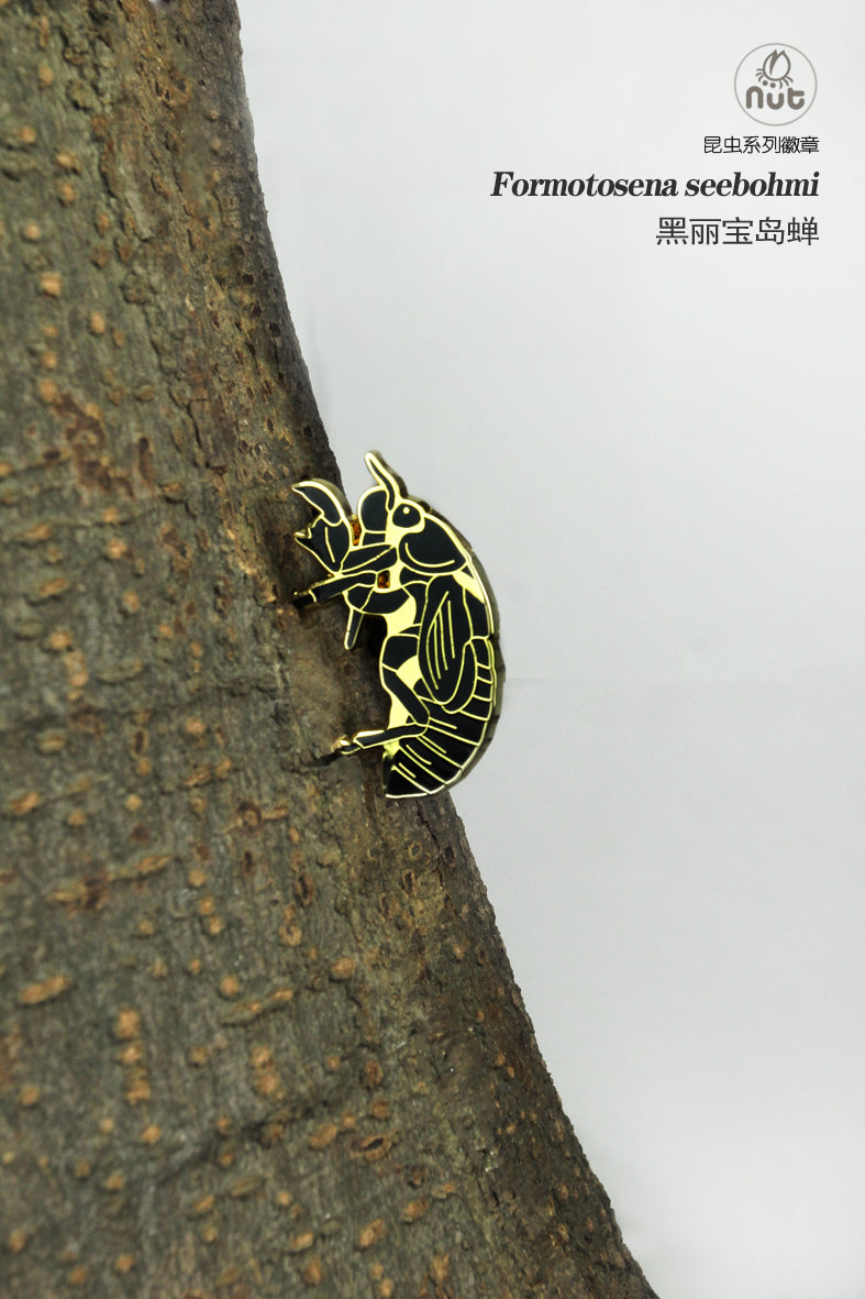Insect Badge Formotosena seebohmi