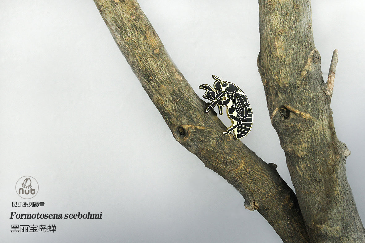 Insect Badge Formotosena seebohmi