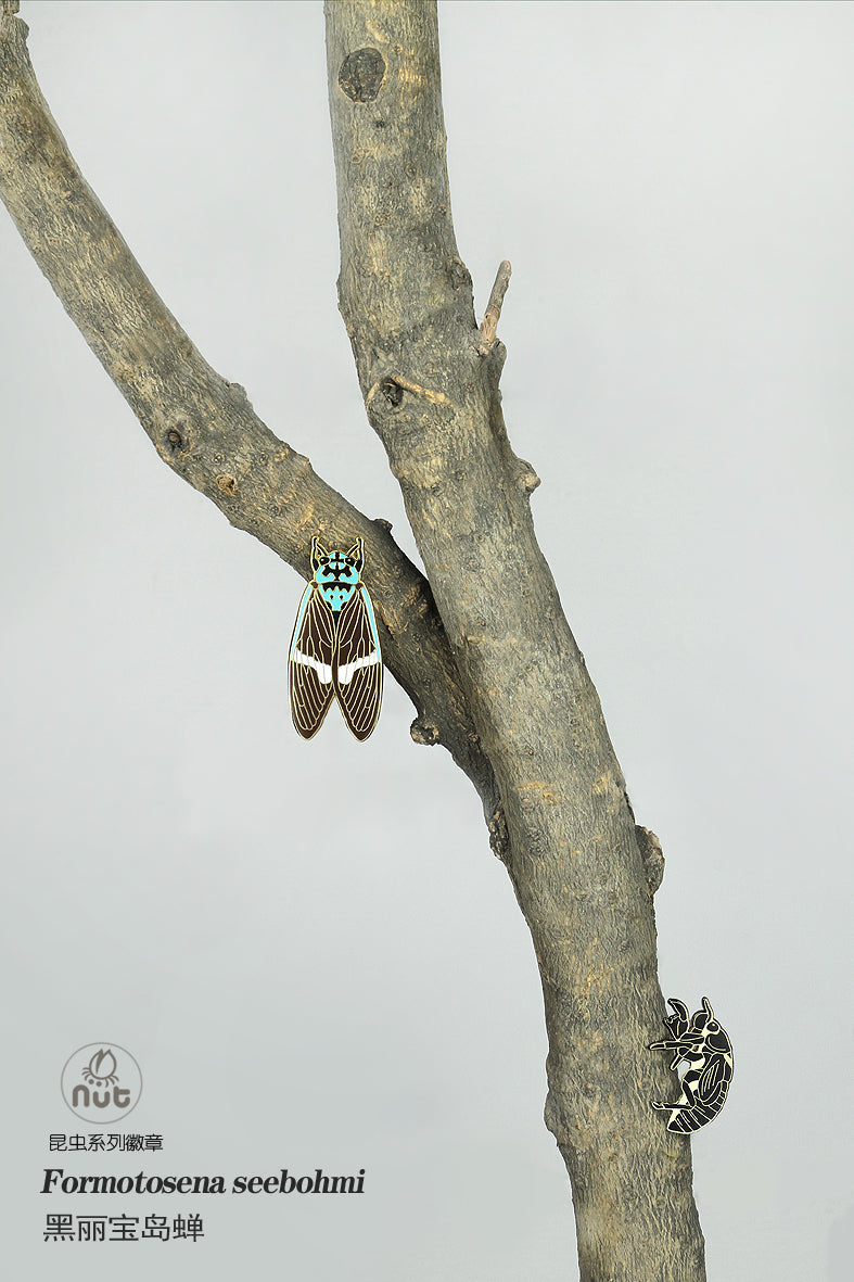 Insect Badge Formotosena seebohmi