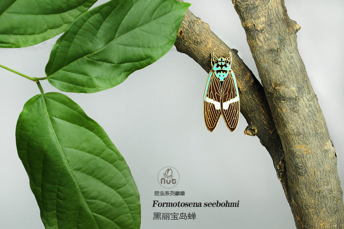 Insect Badge Formotosena seebohmi