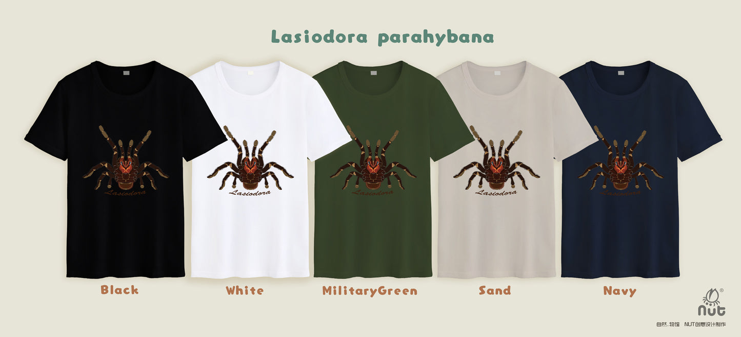 T-shirt Lasiodora parahybana