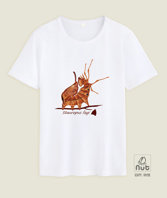 T-shirt Stauropus fagi