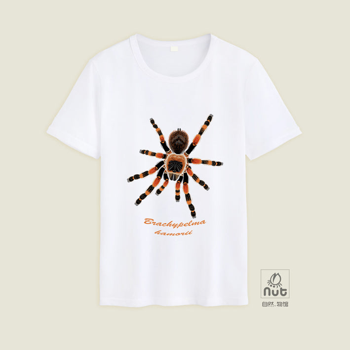 T-shirt Brachypelma hamorii