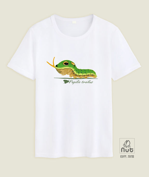T-shirt Papilio troilus