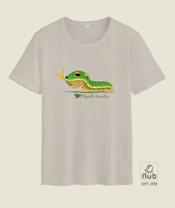 T-shirt Papilio troilus