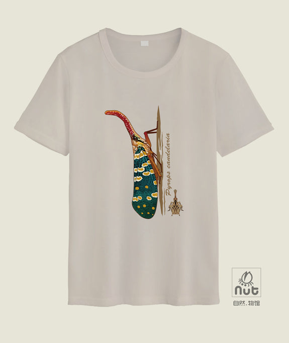 T-shirt Pyrops candelaria