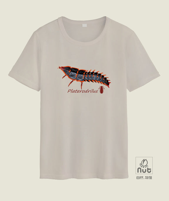 T-shirt Platerodrilus paradoxus