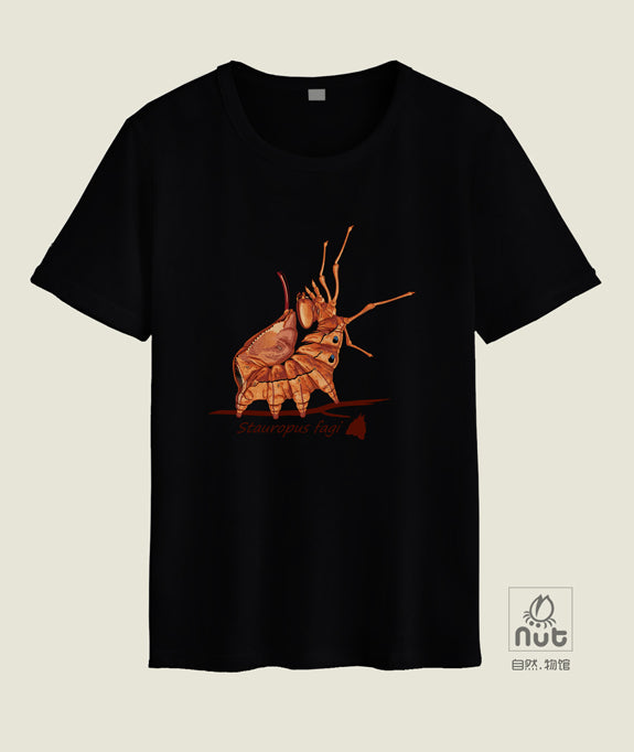 T-shirt Stauropus fagi