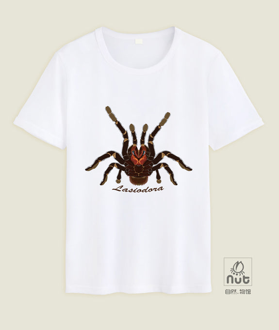 T-shirt Lasiodora parahybana