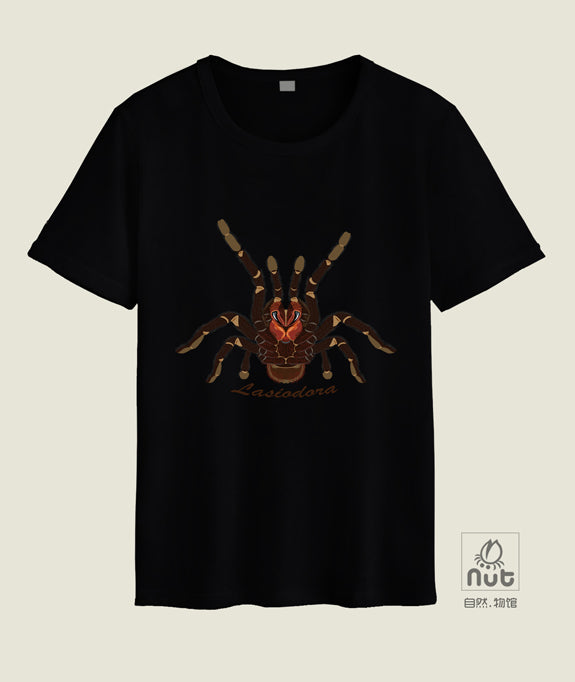 T-shirt Lasiodora parahybana