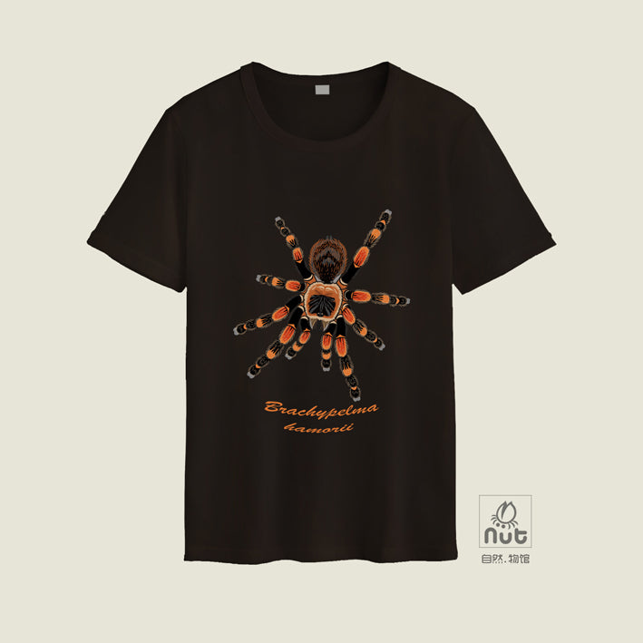 T-shirt Brachypelma hamorii