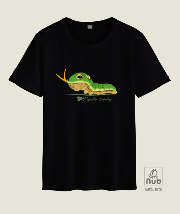 T-shirt Papilio troilus