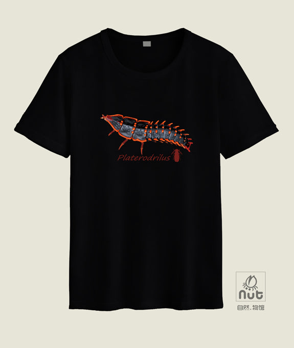 T-shirt Platerodrilus paradoxus