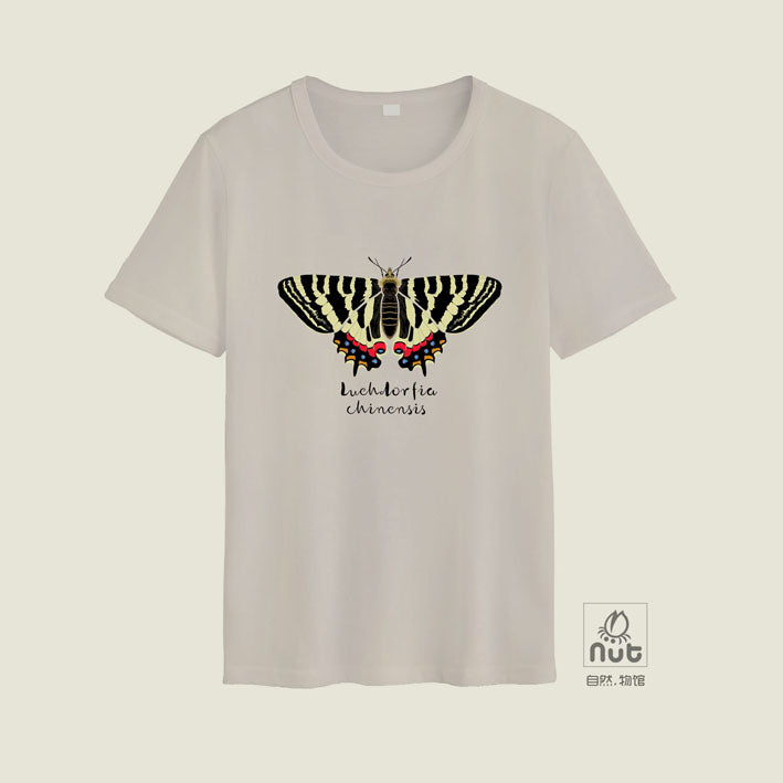 T-shirt Luehdorfia chinensis