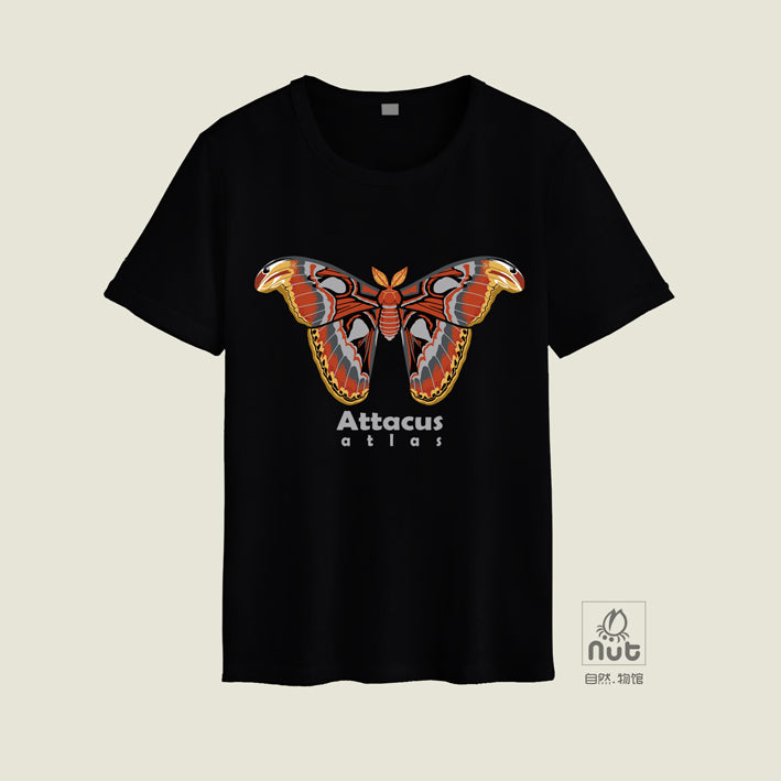 T-shirt Attacus atlas