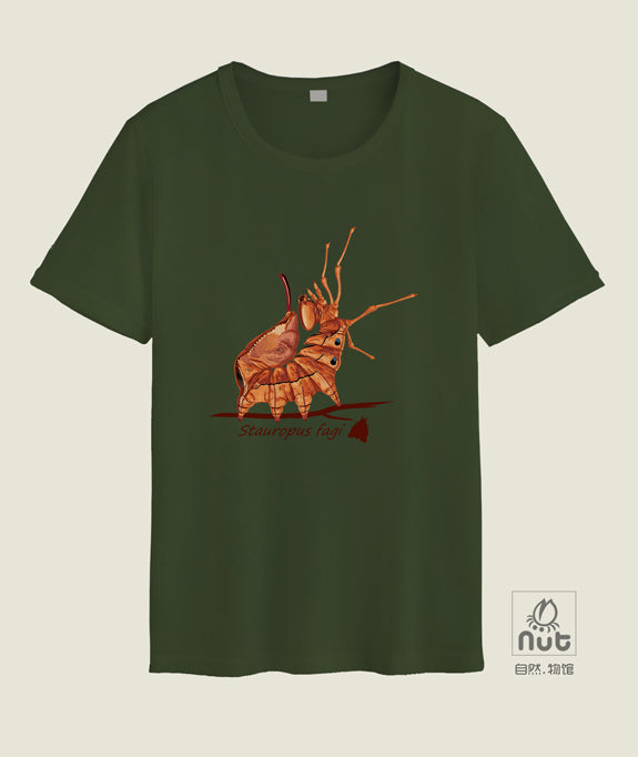 T-shirt Stauropus fagi