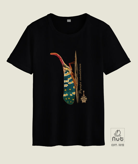T-shirt Pyrops candelaria
