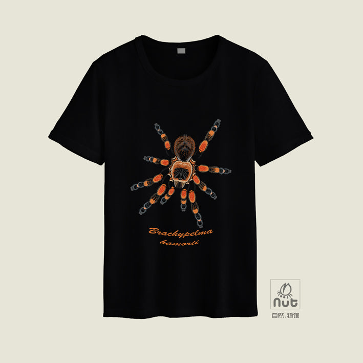 T-shirt Brachypelma hamorii