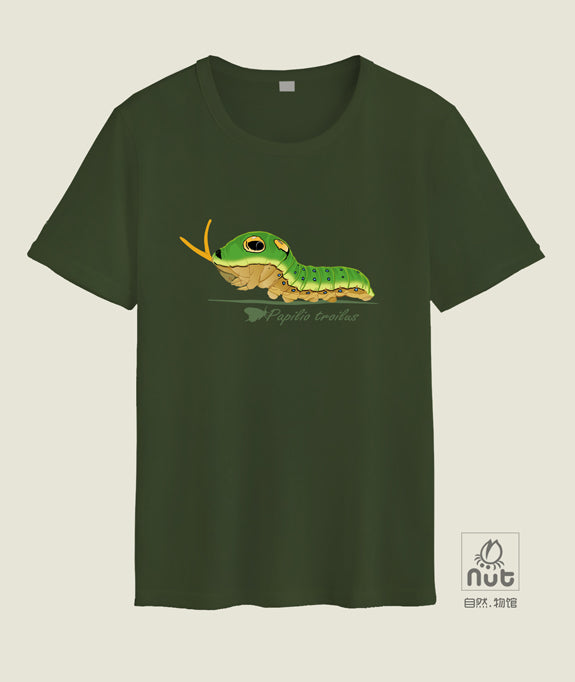 T-shirt Papilio troilus