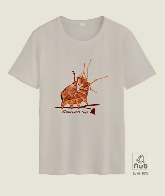 T-shirt Stauropus fagi