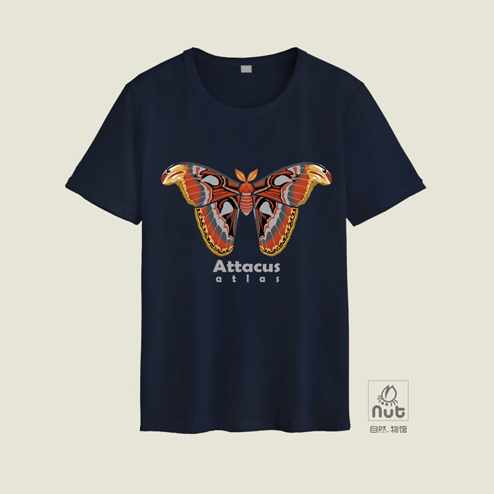 T-shirt Attacus atlas