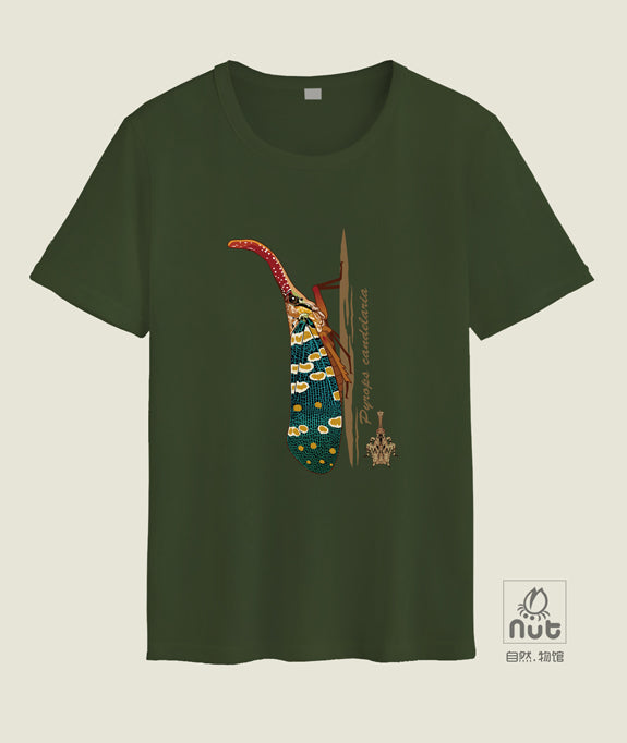 T-shirt Pyrops candelaria