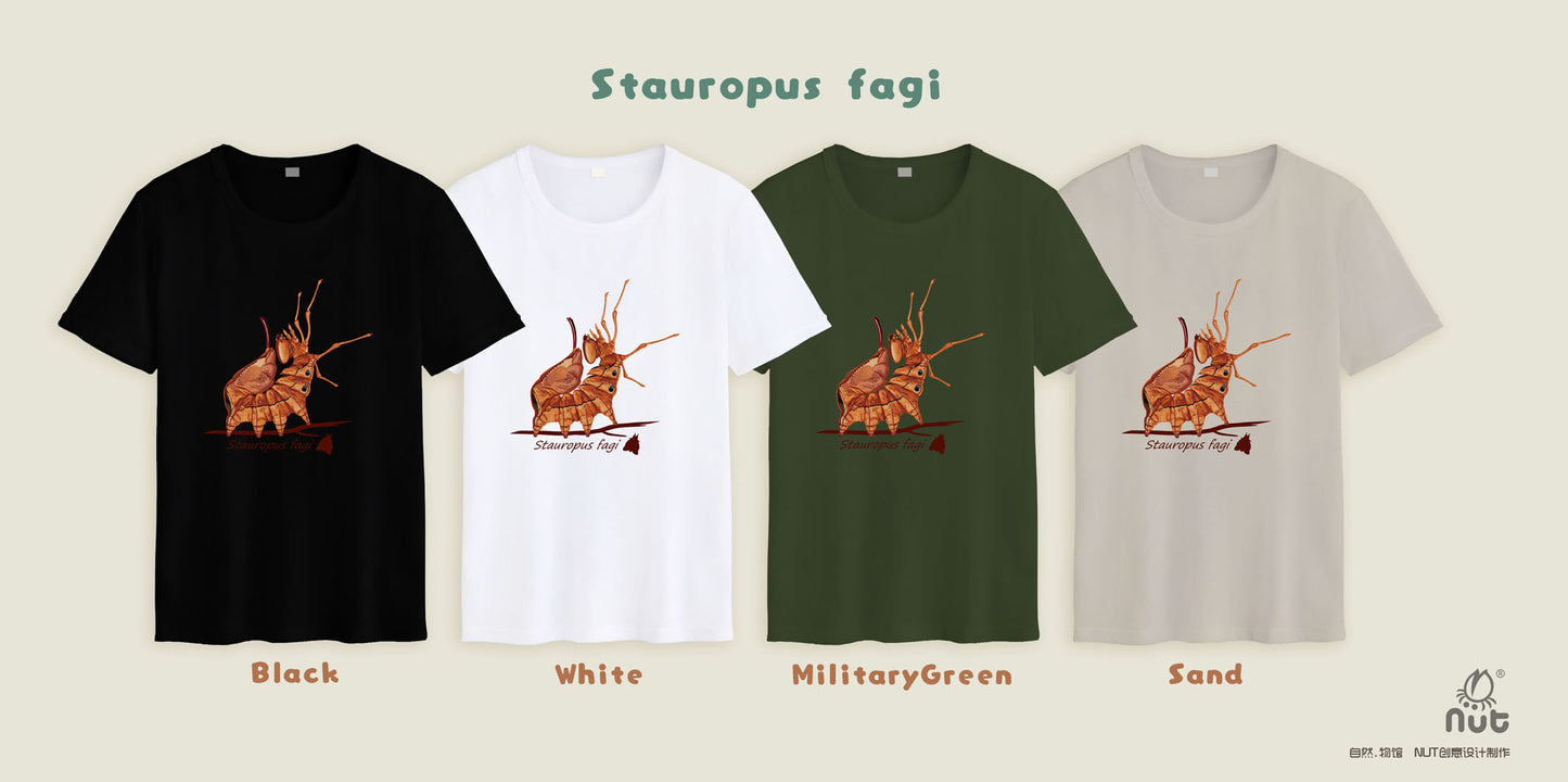 T-shirt Stauropus fagi