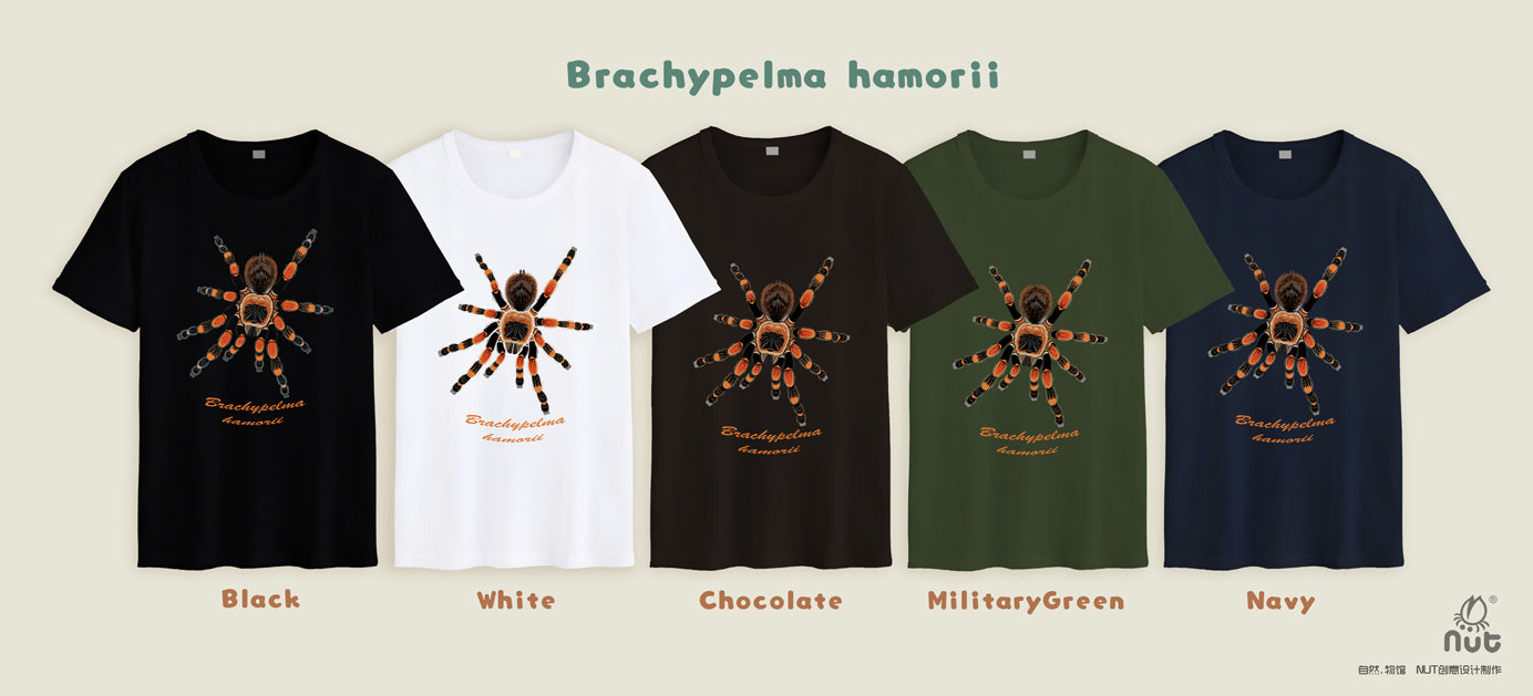 T-shirt Brachypelma hamorii