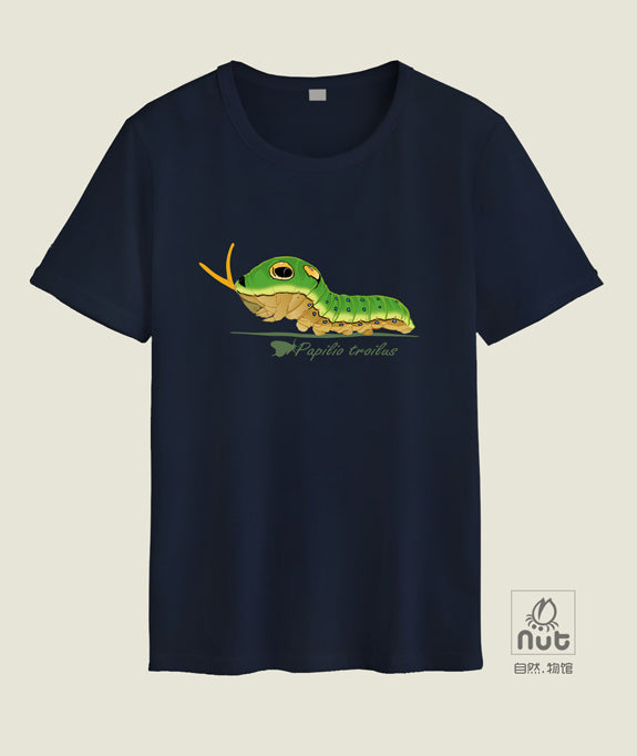 T-shirt Papilio troilus