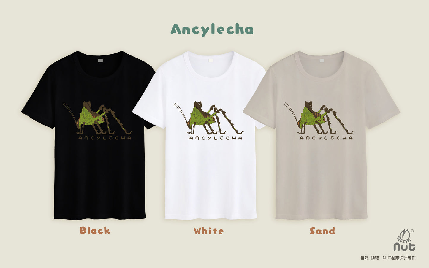 T-shirt Ancylecha
