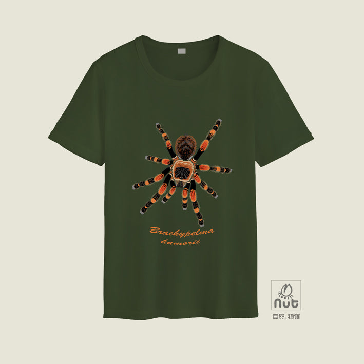 T-shirt Brachypelma hamorii