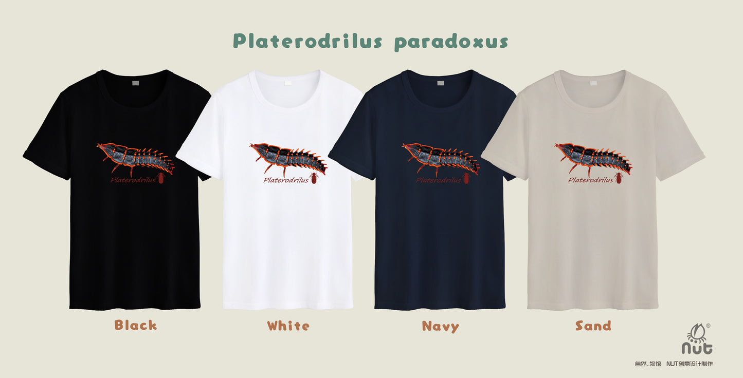 T-shirt Platerodrilus paradoxus