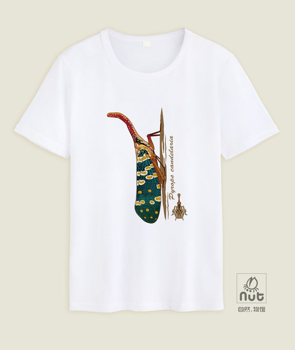 T-shirt Pyrops candelaria
