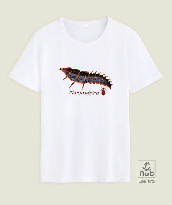 T-shirt Platerodrilus paradoxus
