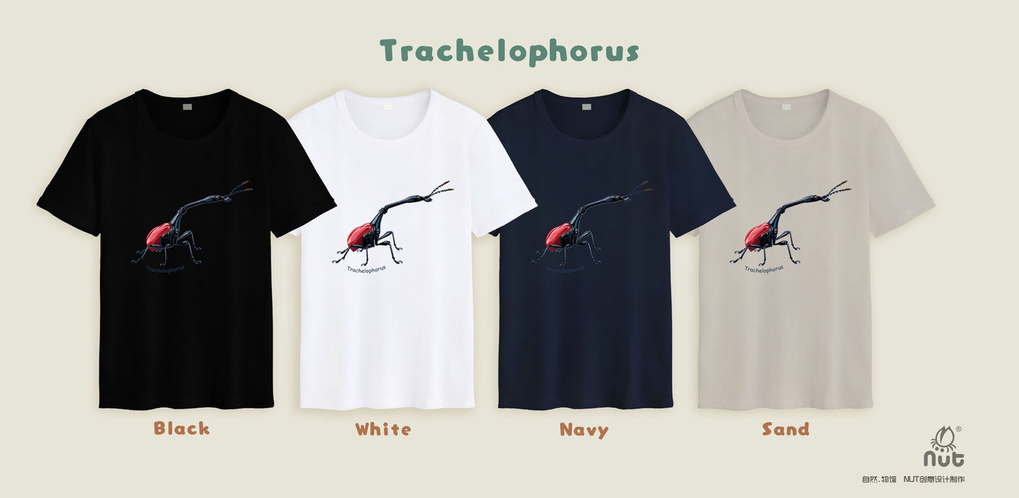 T-shirt Trachelophorus