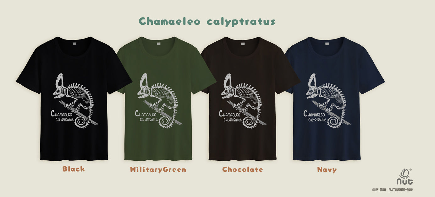 T-shirt Chamaeleo calyptratus