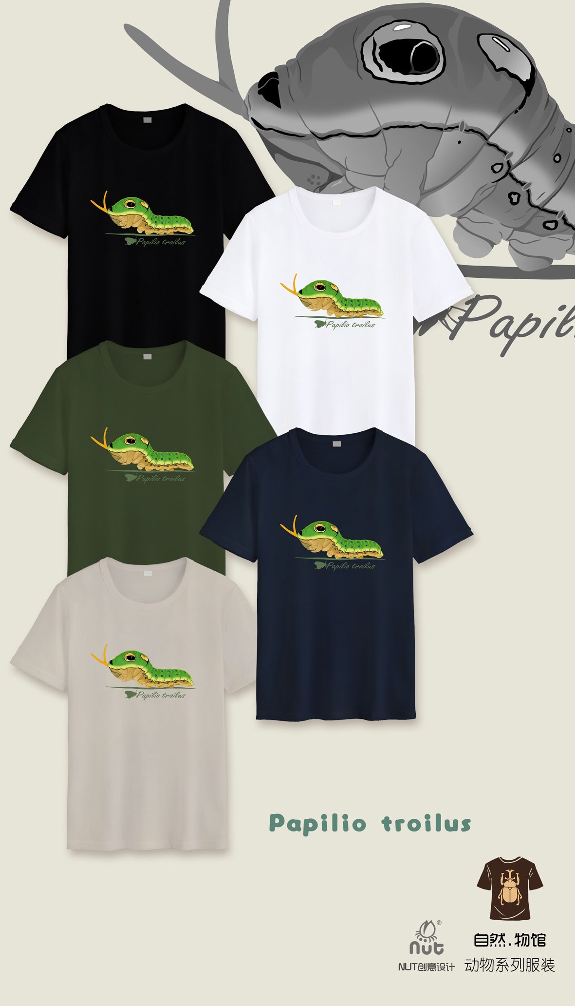 T-shirt Papilio troilus