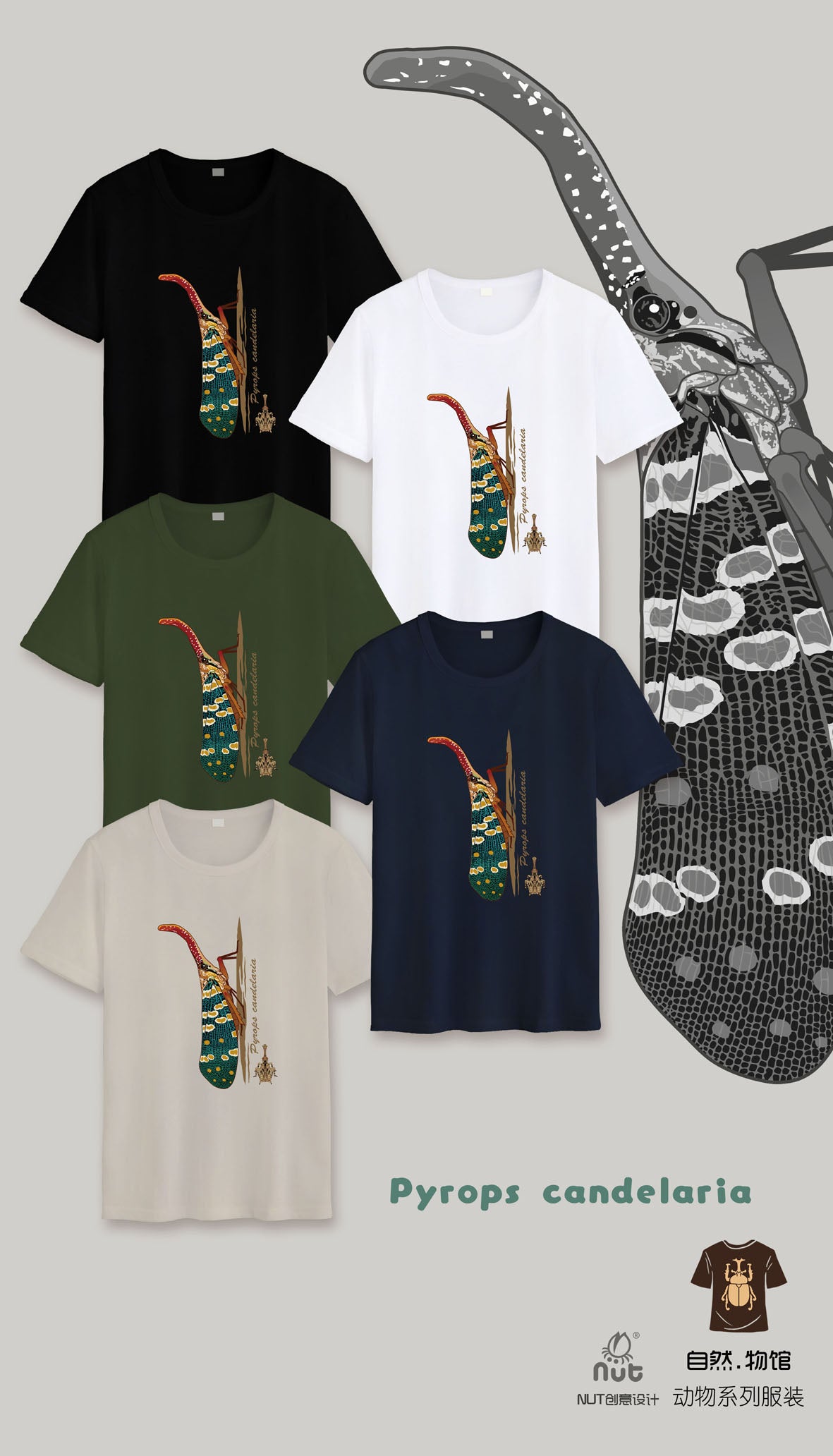 T-shirt Pyrops candelaria
