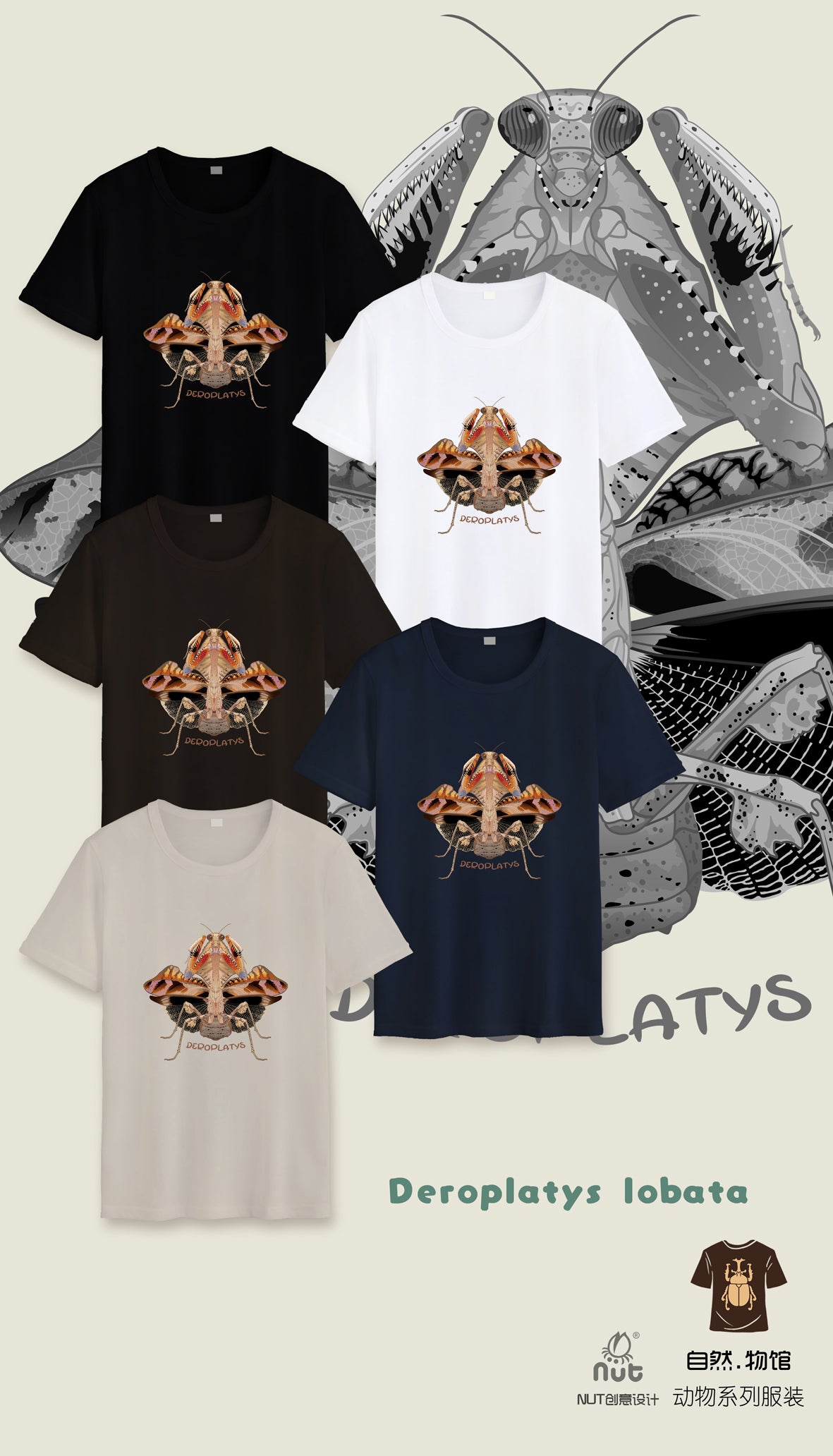 T-shirt Deroplatys lobata