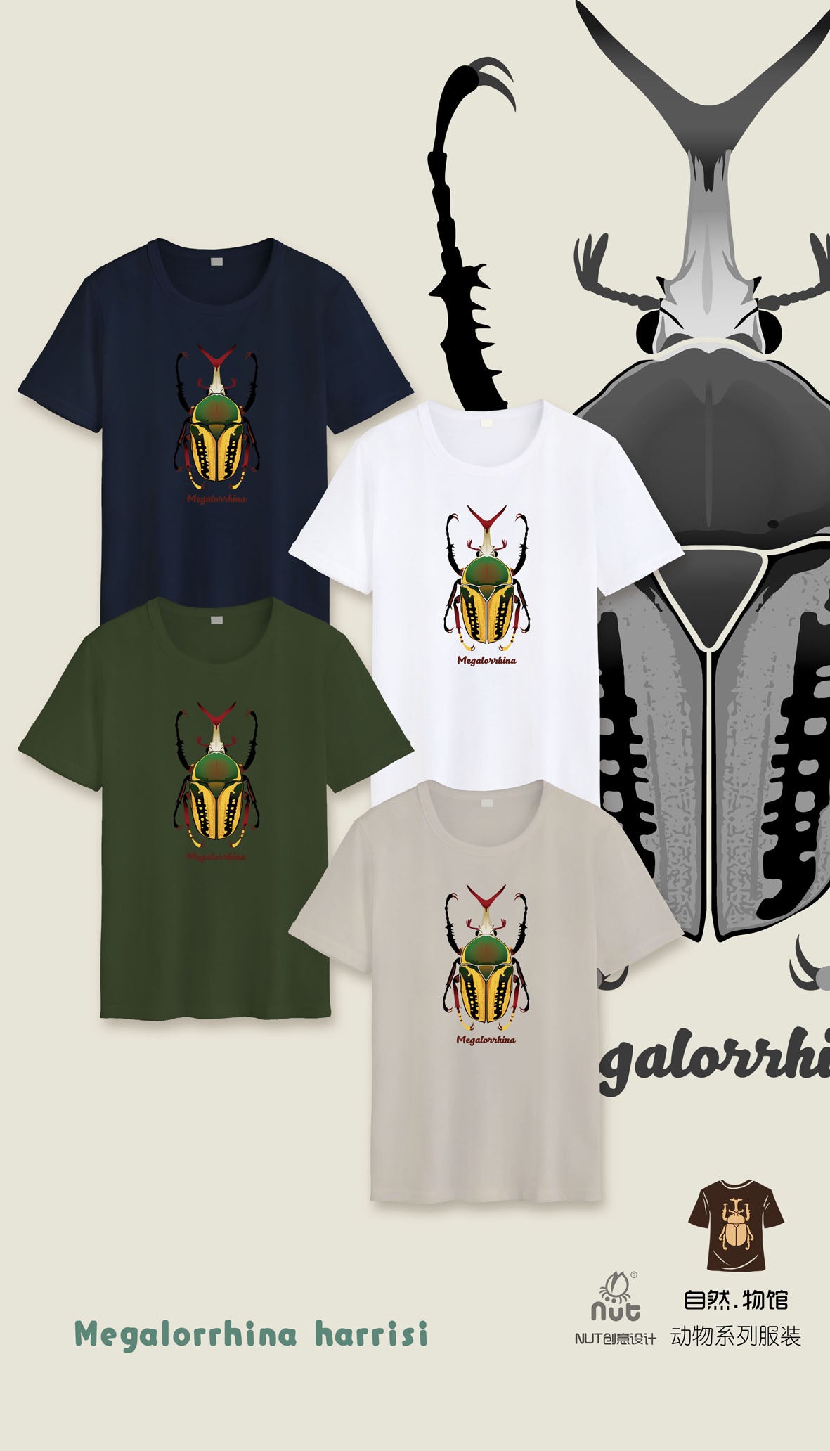 T-shirt Megalorrhina harrisi
