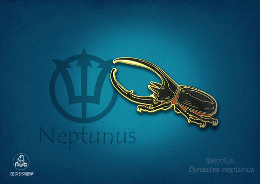 Insect Badge  “The gods come down Ⅰ” Dynastes neptunus