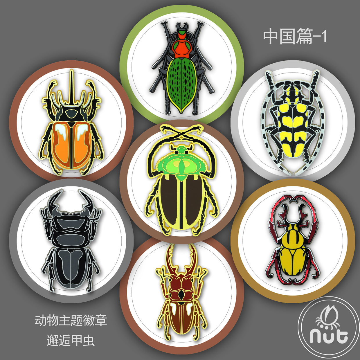 Insect Badge “Chinese Beetle Series Ⅰ”