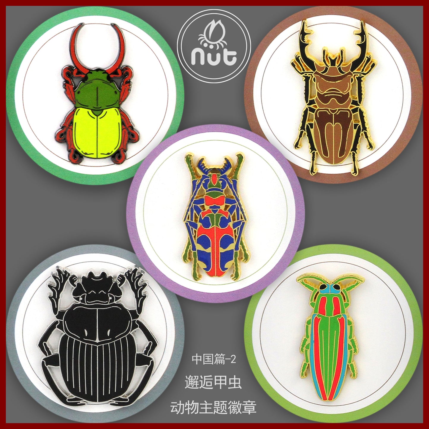 Insect Badge “Chinese Beetle Series Ⅱ”