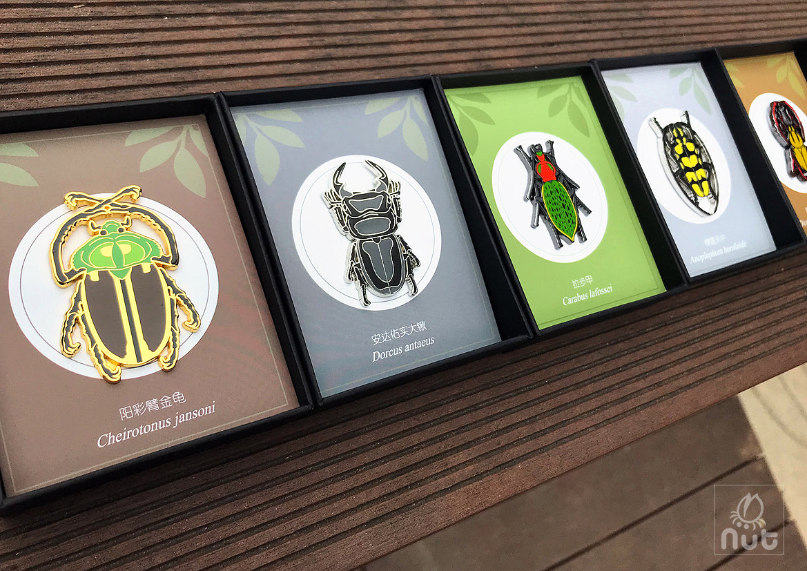 Insect Badge “Chinese Beetle Series Ⅰ”