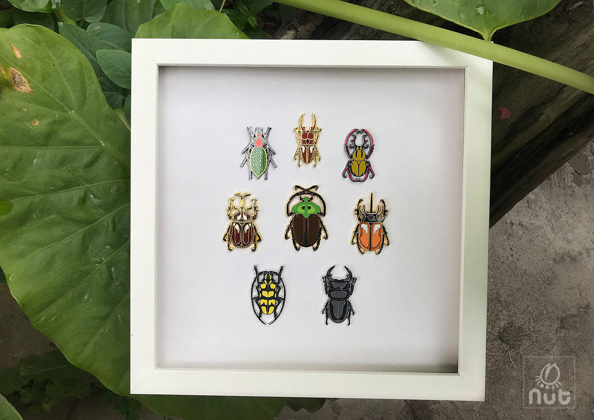Insect Badge “Chinese Beetle Series Ⅰ”